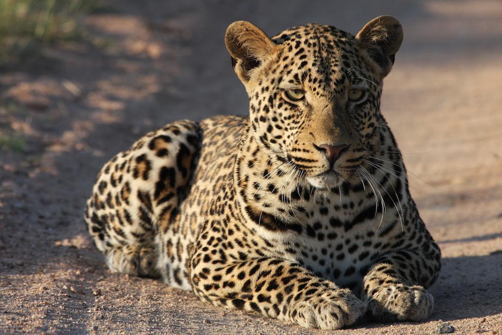 Tutwa Desert Lodge Augrabies Екстериор снимка