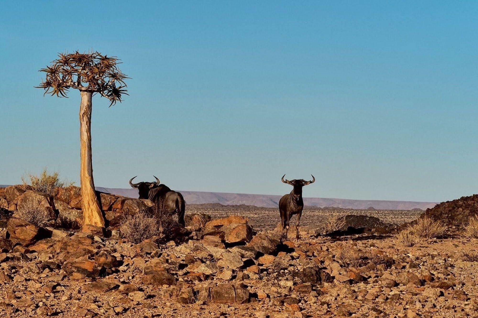 Tutwa Desert Lodge Augrabies Екстериор снимка